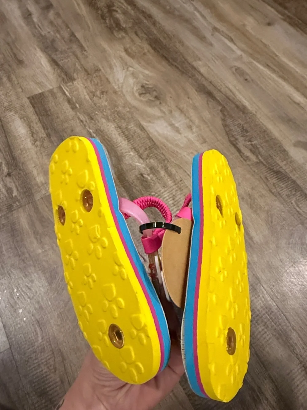 Paw Patrol bright paw